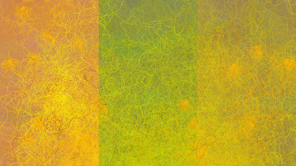 Digital generative artwork by Stanza