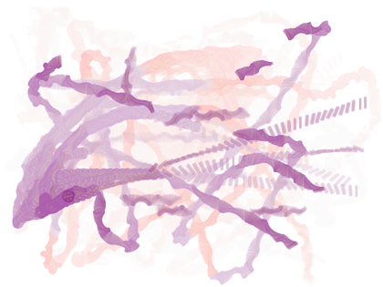 stanza webscapes