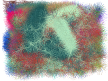 stanza webscapes